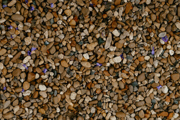 little stones and purple petals as background. High quality photo