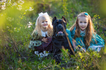 little girls walk a dog in blooming gardens	