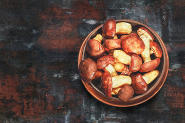Fresh edible forest mushrooms in bowl over dark background. Space for text. Vegetarian food