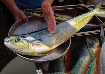 Big fish is sold at a street market in Sicily