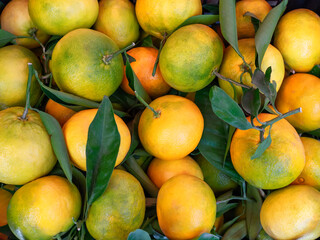 Green-orange oranges on the counter