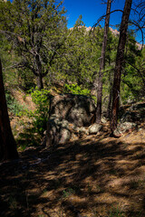 This is a forest view along the Clark Springs Trail in the Granite Mountain Recreation Area of Prescott, Arizona. Mountains are in the background.