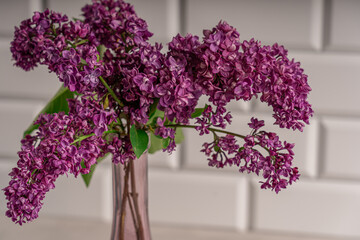 Lilac branches with purple and violet little flowers are standing in transparent glass vase against tiled white wall