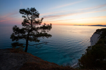 Evening in the pine forest of Pitsunda in the Blue Abyss, Divnomorsk, Black Sea