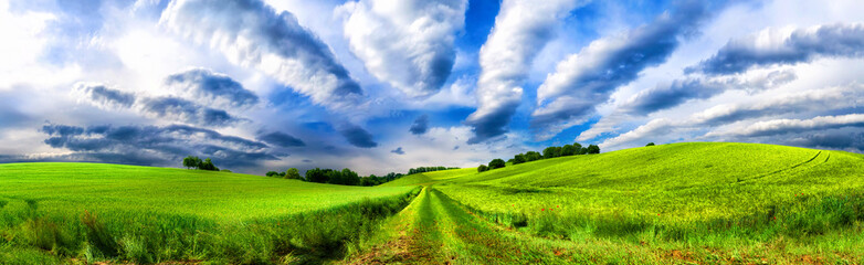 Fototapeta na wymiar Panoramic rural landscape with idyllic vast green fields on hills and fascinating cloudscape 