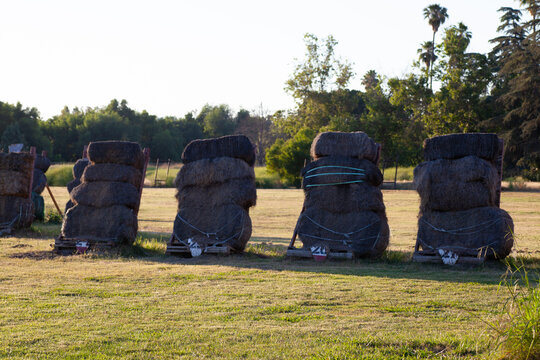 archery  range