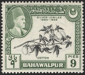 Postage stamps of the Bahawalpur. Stamp printed in the Bahawalpur. Stamp printed by Bahawalpur.