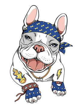 Cartoon french bulldog in a rocker style. Stylish image for printing on any surface