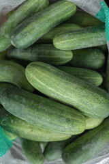 fresh cucumbers in a market