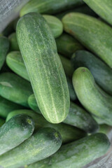 fresh cucumbers in a market