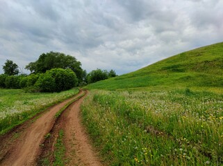 country road near the mountainside among green grass and dandelions against a wonderful sky