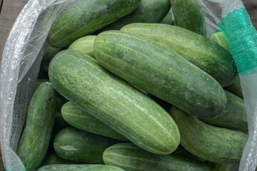 fresh cucumbers in a market