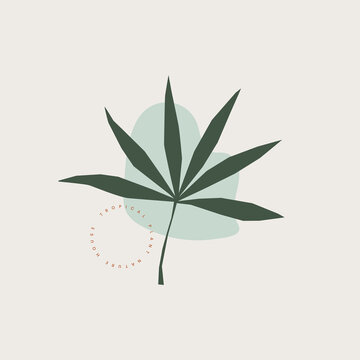 Exotic leaf and freehand shapes composition in pastel colors. Minimalistic botanical image for ecological design. Organic abstract emblem on a light background. Vector illustration.