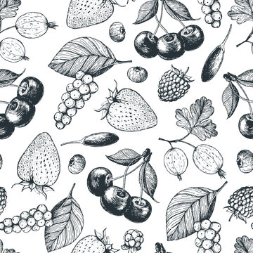 Berry hand drawn seamless pattern. Hand drawn sketch vector illustration with goji berries, c cherry, raspberry, currant, strawberry. Food design template with berry