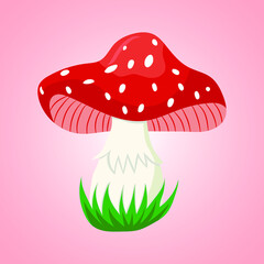 fly agaric vector illustration