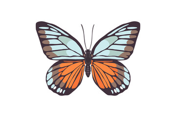 Obraz na płótnie Canvas Butterfly. A beautiful insect. Vector illustration in flat style.