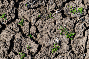 Soil erosion background