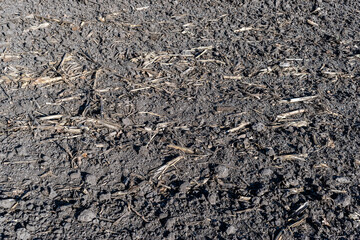 Soil with mineral fertilizer