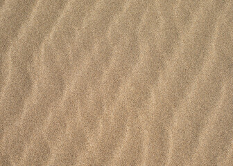 Sandy surface with uniform waves from the wind.