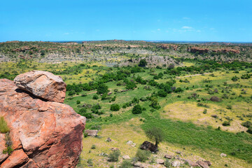 Fototapeta na wymiar Landscape with herd of elephants, adults and cubs walking along elephant path, view from rock in Mapungubwe National Park, South Africa