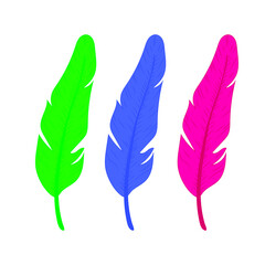 feathers of birds of different colors on a white onet, vector illustration