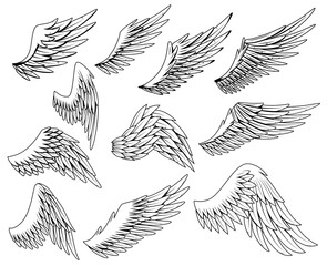 Heraldic wings set. Vintage birds wings. Set of design elements in coloring style