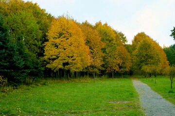 Beautiful autumn landscape