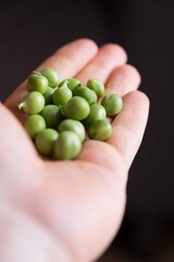 PÈSOLS