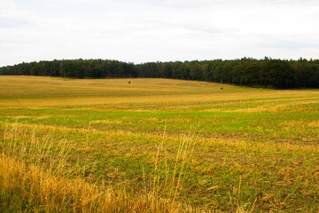 Campo de cultivo cosechado con tonalidades amarillas y vierdes