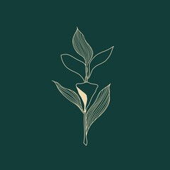 Green leaves vector, Hand drawn floral illustration, Gold floral or leaf on a green background, modern decor art