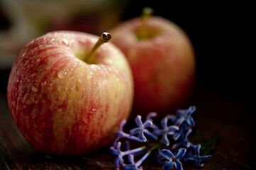 Rustic apples with drops of water on a dark background