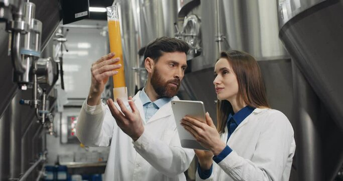 Male and female brewery workers checking quality of freshly made product and talking. Attentive woman with tablet and man holding glass tube with beer while looking at beverage