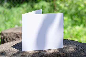 Blank bifold clean card on a stump outdoors with floral shadow and blurred nature background as template for design presentation, event promotion, invitation etc. Camping nature vacation concept.