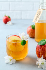 Homemade fermented kombucha or cider in a glass with a slice of fresh apple on a light gray stone table. A healthy probiotic kombucha refreshing drink. Copy space.