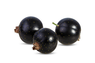Black currants isolated on white background with clipping path