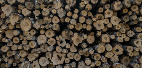 A pile of logs, lumber. Background texture