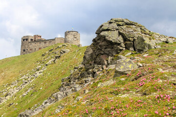 Old observatory castle on the mount Pip Ivan and pink rose rhododendron flowers on the rock...