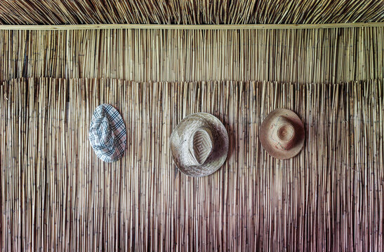 3 old, worn hats symmetrically hanging on the wall of reeds
