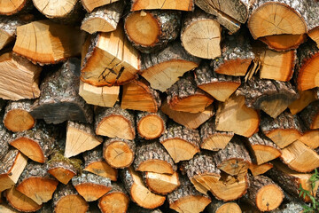 Stack of logs in the countryside. Selective focus.