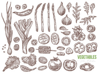 Vegetables and organic healthy food vector set. Slices and half tomatoes, paprika, pepper, cucumber, asparagus, salad, corn. Leaves of arugula, leek and bow. Sketch hand darwn illustration