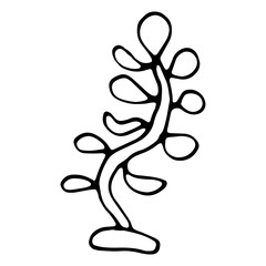 World Oceans day hand drawn set corals,alga, sea plants and aquarium seaweed silhouette set. Vector illustration isolated on a white background.Design icon, banner.