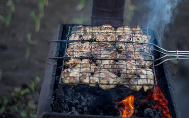 meat on the grill