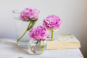 Three pink peonies in round vases on a beige wooden table against the background of a white wall.