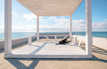 White gazebo with sea view. Wooden shelter with a lying black dog. Bright sunny summer day.