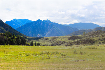 Fototapeta na wymiar Wonderful mountain landscape with blue sky. Altai Republic, Russia. High green mountains and clean health air