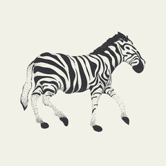 zebra vector, Eps 10