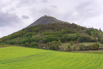 Green mixed forest on Milesovka, highest mountain of Ceske stredohori with lookout tower and meteorological station and observatory, Czech Republic