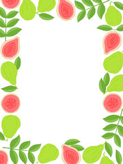 Guava fruit frame. Hand drawn seamless pattern. Stock vector illustration.