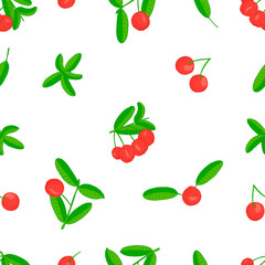 Imbe fruit with leaves on white background. Hand drawn seamless pattern. Stock vector illustration.