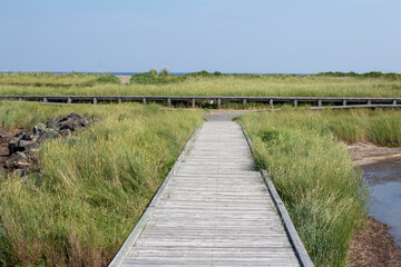 Fototapeta premium Dominion Beach Boradwalk